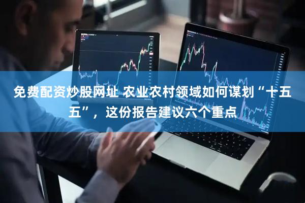 免费配资炒股网址 农业农村领域如何谋划“十五五”，这份报告建议六个重点