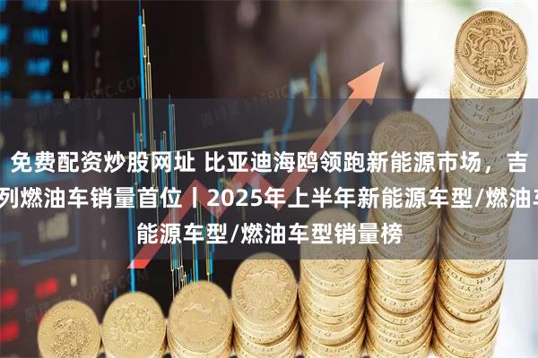 免费配资炒股网址 比亚迪海鸥领跑新能源市场，吉利星越L位列燃油车销量首位丨2025年上半年新能源车型/燃油车型销量榜