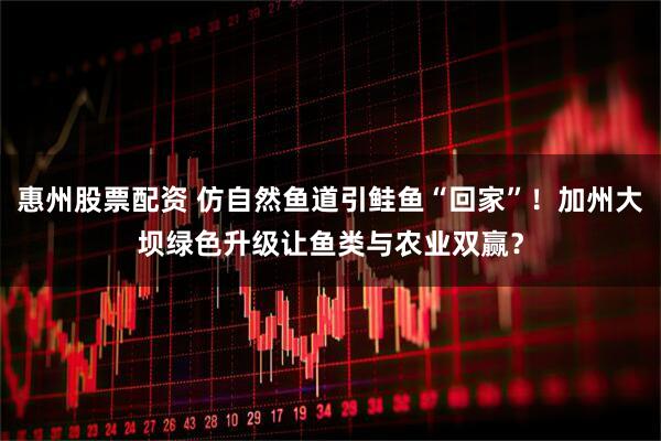 惠州股票配资 仿自然鱼道引鲑鱼“回家”！加州大坝绿色升级让鱼类与农业双赢？